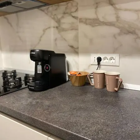 Cosy Luxury Studio Dristor Bucureşti